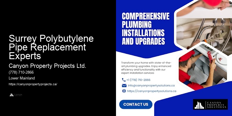Polybutylene Pipe Replacement Cost Estimates Surrey Polybutylene Pipe Replacement Experts