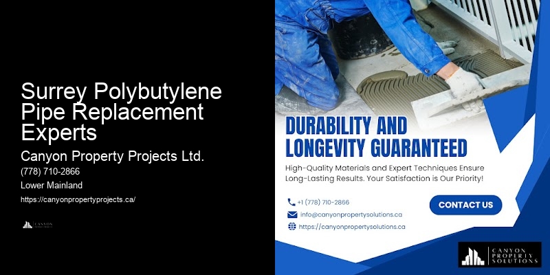 Licensed Polybutylene Plumbing Services Surrey Polybutylene Pipe Replacement Experts