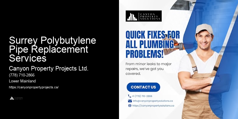 Polybutylene Plumbing Replacement Costs Surrey Polybutylene Pipe Replacement Services