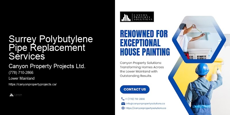 Polybutylene Plumbing for Home Renovations Surrey Polybutylene Pipe Replacement Services