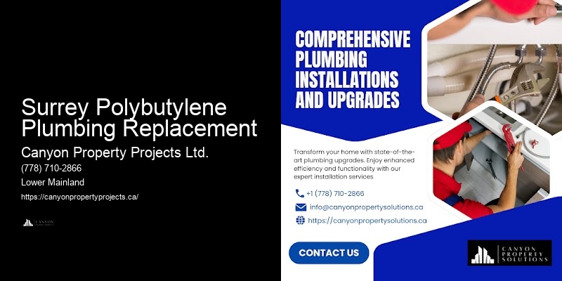 Cost of Polybutylene Pipe Replacement Surrey Polybutylene Plumbing Replacement