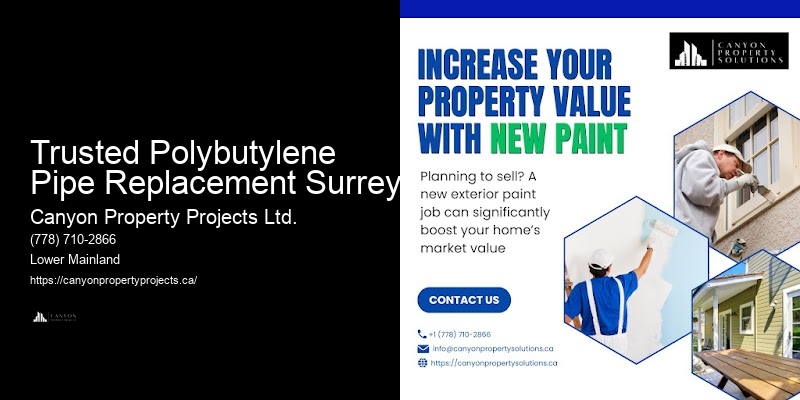 Polybutylene Pipe Inspection Trusted Polybutylene Pipe Replacement Surrey