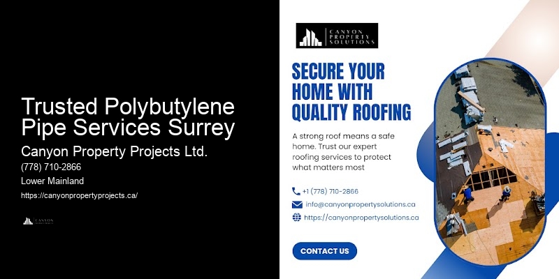 Trusted Polybutylene Pipe Services Surrey Polybutylene Pipe Replacement Specialists