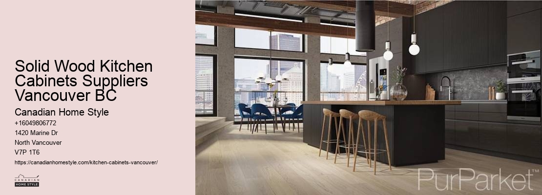 Contemporary kitchen cabinet styles Vancouver BC