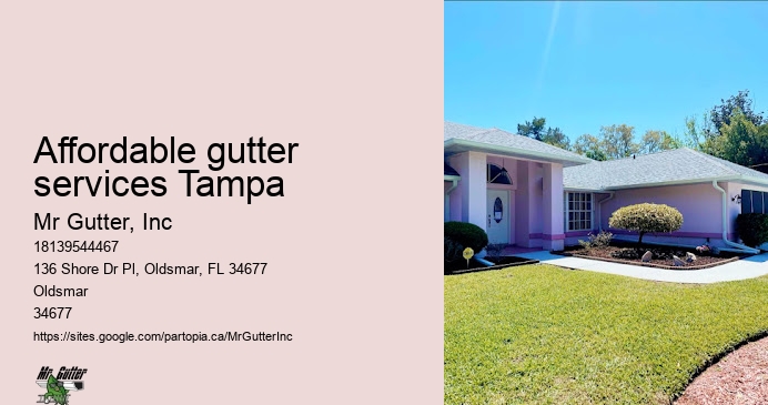 Affordable gutter services Tampa gutter protection