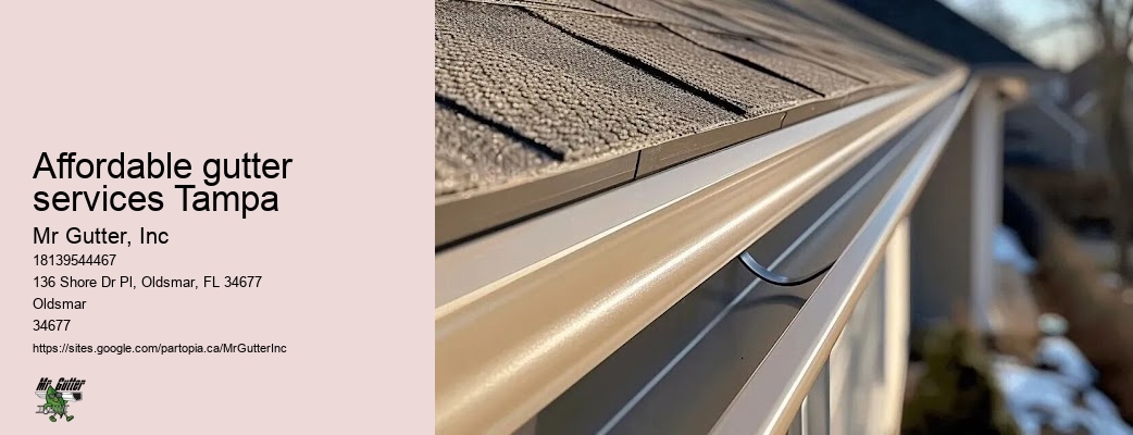 Residential gutter services Affordable gutter services Tampa