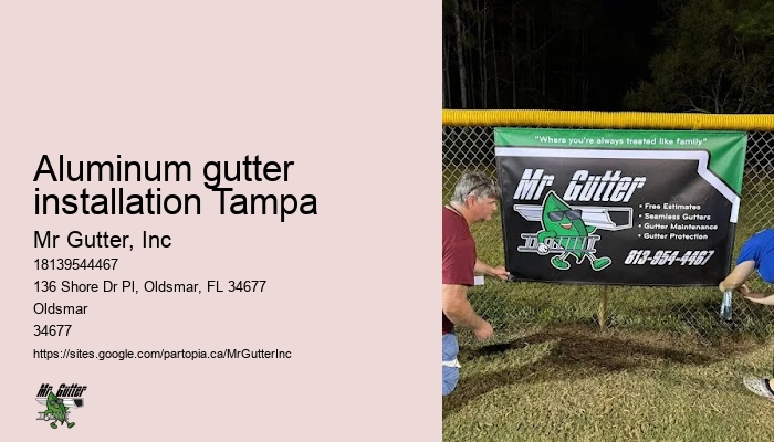 Emergency gutter repair Aluminum gutter installation Tampa