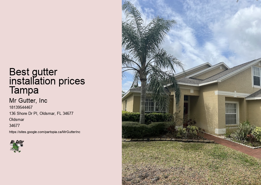 Gutter system replacement Best gutter installation prices Tampa