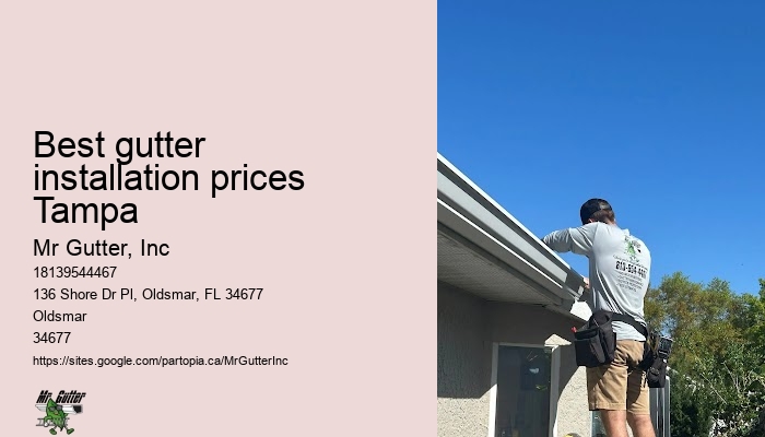 Best gutter installation prices Tampa gutter installation consultation