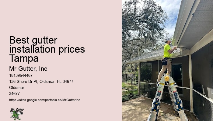 Best gutter installation prices Tampa gutter installation tips