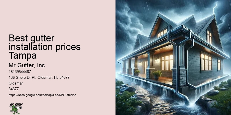 Rain gutter replacement Best gutter installation prices Tampa