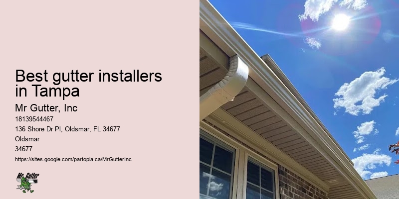 Best gutter installers in Tampa gutter system installation reviews