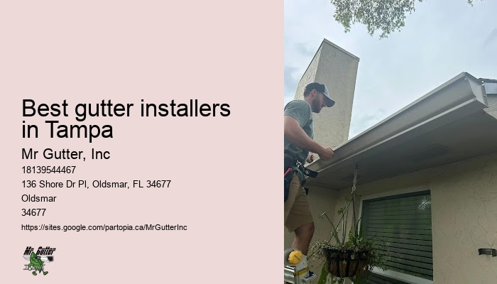 Experienced gutter contractors Best gutter installers in Tampa