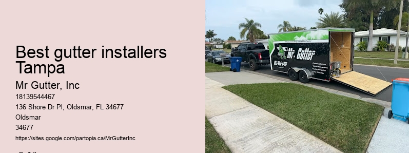 Rain gutter installation Best gutter installers Tampa