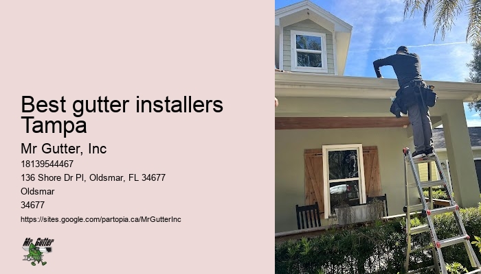 Gutter repair Best gutter installers Tampa
