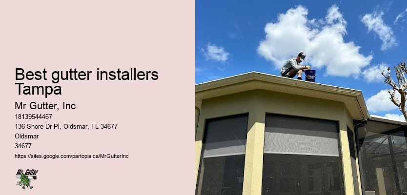 Custom gutter installation Best gutter installers Tampa
