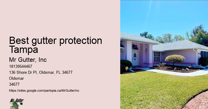 Best gutter protection Tampa gutter service providers
