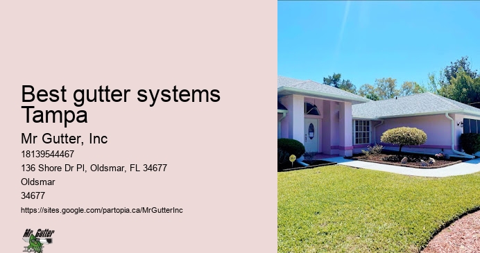 Local gutter repair Best gutter systems Tampa