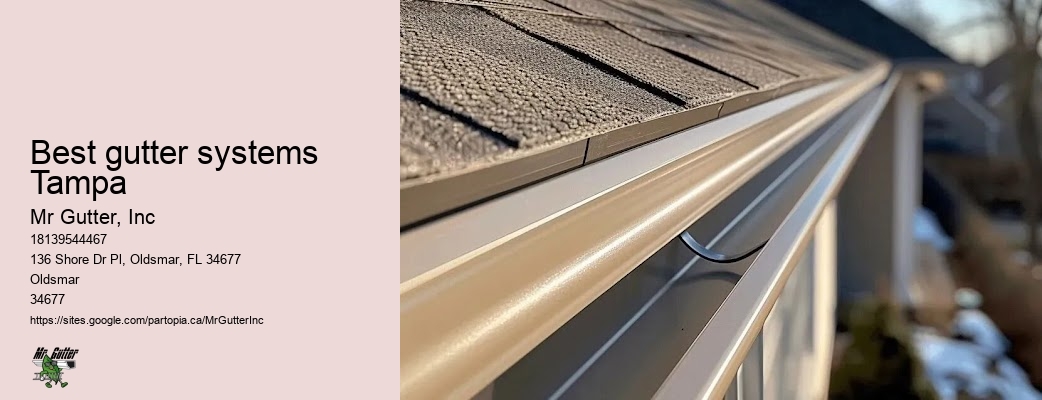 Gutter system design Best gutter systems Tampa