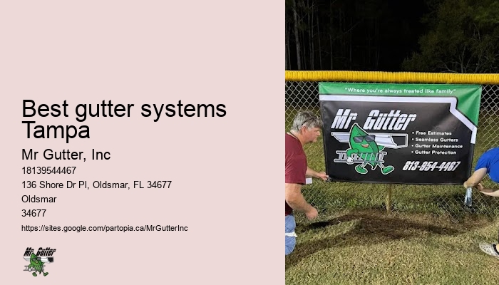 Best gutter systems Tampa gutter installation deals