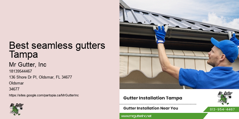 Gutter cleaning specialists Best seamless gutters Tampa
