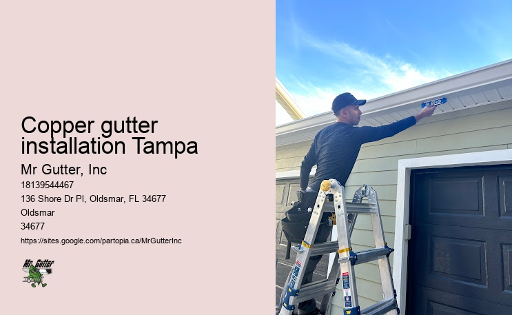 Comprehensive gutter services Copper gutter installation Tampa