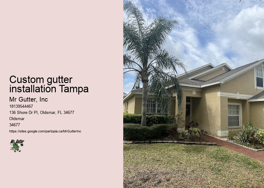 Best gutter protection Custom gutter installation Tampa