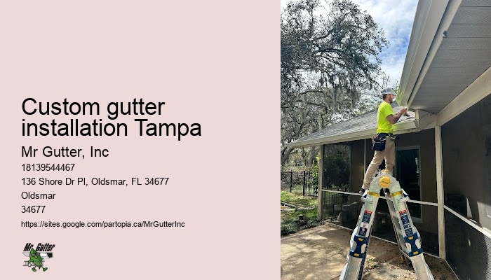 Residential gutter systems Custom gutter installation Tampa