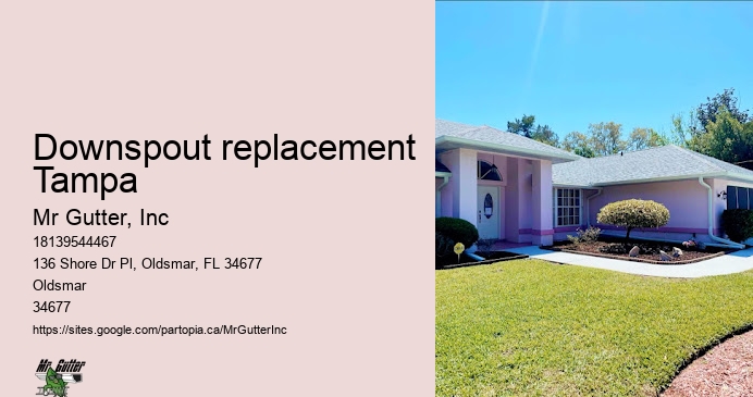 Downspout replacement Tampa gutter guard installation services