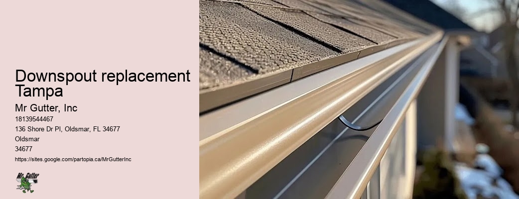 Downspout replacement Tampa gutter maintenance tips