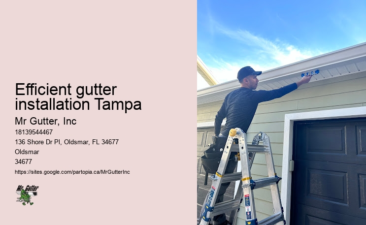 Seamless gutter installation Efficient gutter installation Tampa