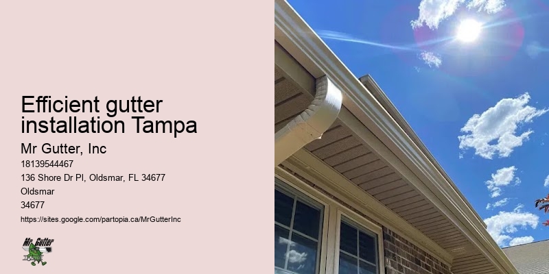 Gutter replacement Efficient gutter installation Tampa