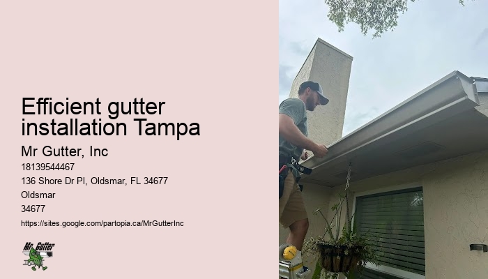 Gutter repair Efficient gutter installation Tampa