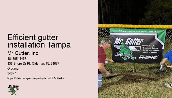 Custom gutter installation Efficient gutter installation Tampa