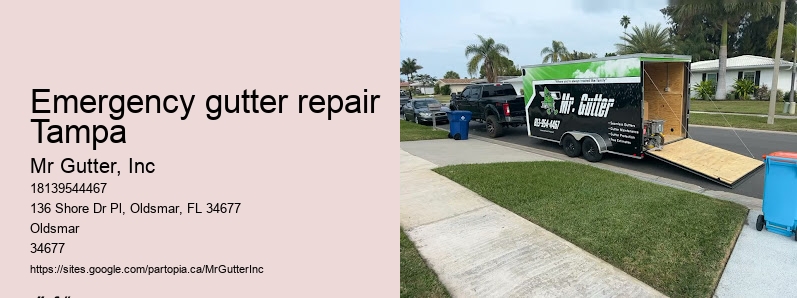 Gutter guard installation Emergency gutter repair Tampa