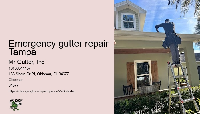 Gutter downspout installation Emergency gutter repair Tampa