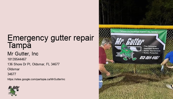 Gutter installation scheduling Emergency gutter repair Tampa