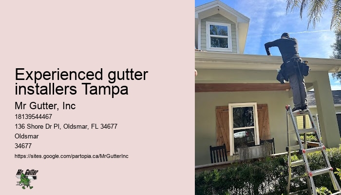 Practical gutter installation Experienced gutter installers Tampa