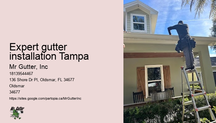 Expert gutter installation Tampa gutter installation services