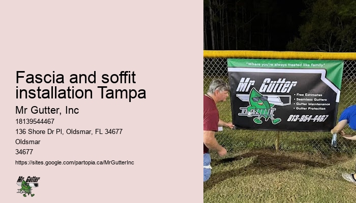 Best gutter installation company Fascia and soffit installation Tampa