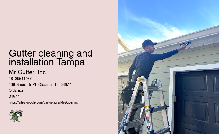 Best gutter installation prices Gutter cleaning and installation Tampa