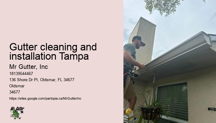 Gutter installation financing Gutter cleaning and installation Tampa