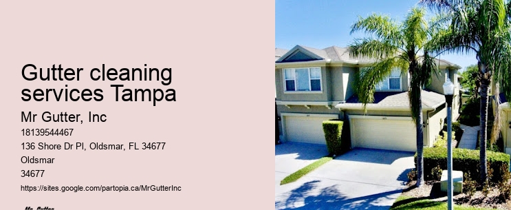 Top gutter installation contractors Gutter cleaning services Tampa