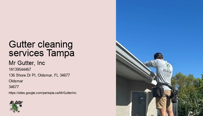 Reliable rain gutter installers Gutter cleaning services Tampa
