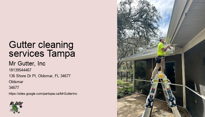 Gutter cleaning services Tampa gutter repair and maintenance