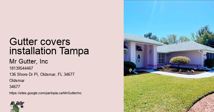 Gutter covers installation Tampa rain gutter repair
