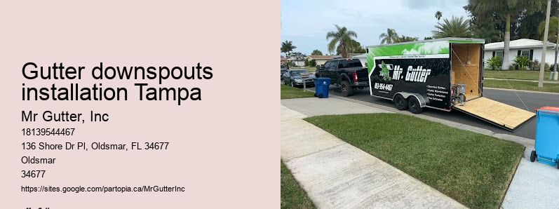 Affordable rain gutter installation Gutter downspouts installation Tampa