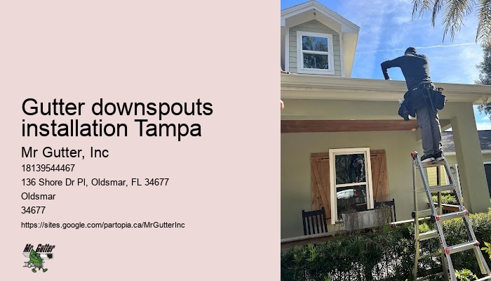 Gutter installation satisfaction Gutter downspouts installation Tampa