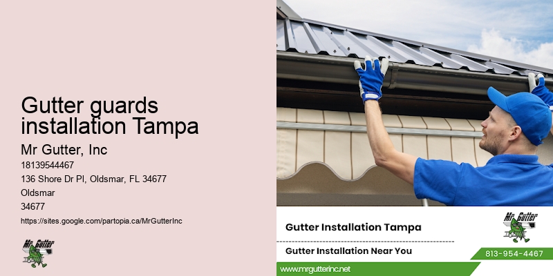 Gutter replacement cost Gutter guards installation Tampa