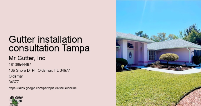 Green gutter installation Gutter installation consultation Tampa